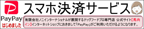 PayPayスマホ決済サービス